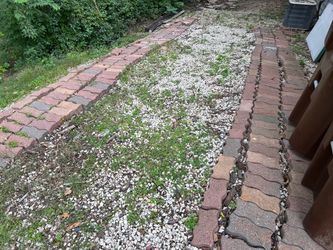 Paver bricks   FREE