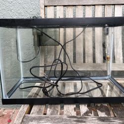 10 Gallon Fish Tank With Heater And Filter
