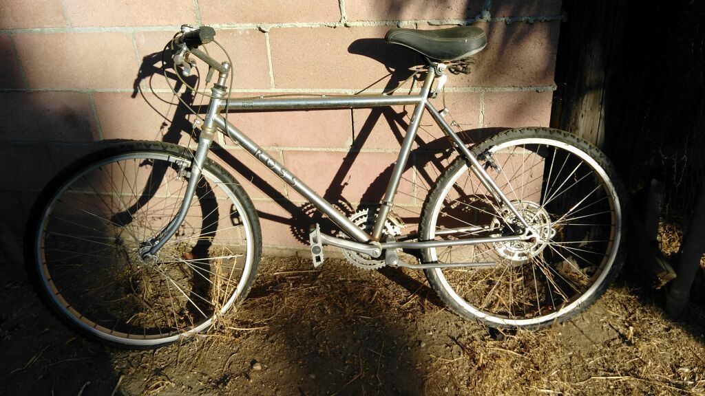 ROSS MOUNTAIN BIKE, gt, chrome, road