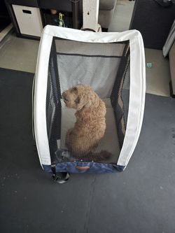 Dog Car Seat