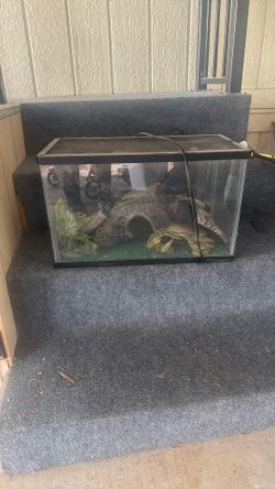 Aquarium
