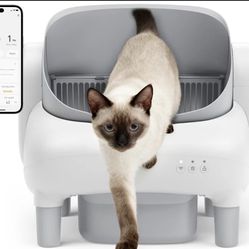 Self-Cleaning Litter Box