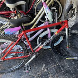 Fairdale Bike
