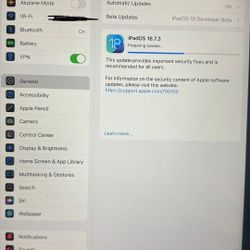 1st Gen iPad Pro 11inch 256GB 