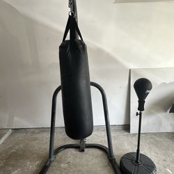 Punching Bags & Gloves