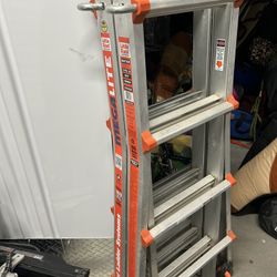 Little Giant 17 Ft Ladder