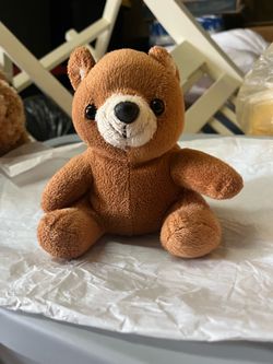 Small bear