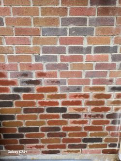Bricks