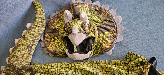 Kids Triceratops Costume Small