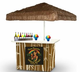 Portable Shaved Ice Business