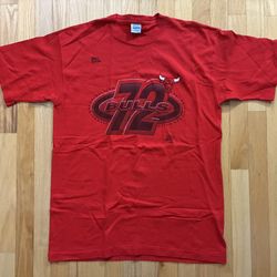 Vintage Chicago Bulls Salem Shirt 72 Win Season Men’s Size L 