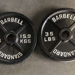 Set Of 35 Lbs Cast Iron Plates