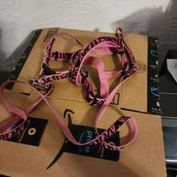 Big Dog Harness And Leash 50lb +