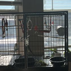 Cage With Four Love Birds