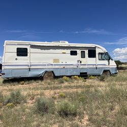 1996 Holiday Rambler S25