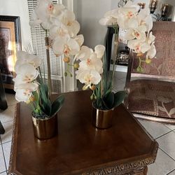 Orquideas