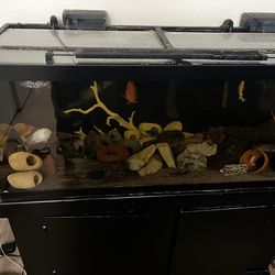 Fish tank 75 gal *read description*