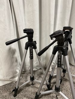 Amazon basics tripods