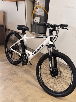 E bike