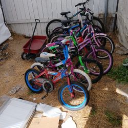 Lil Kids Bikes