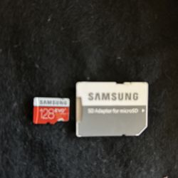 SD Memory Card