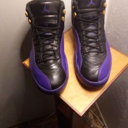 Jordan 12 Purple And Black Size 13