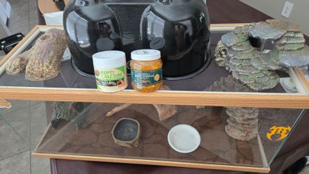 reptile tank🦎🐸🕷🪱