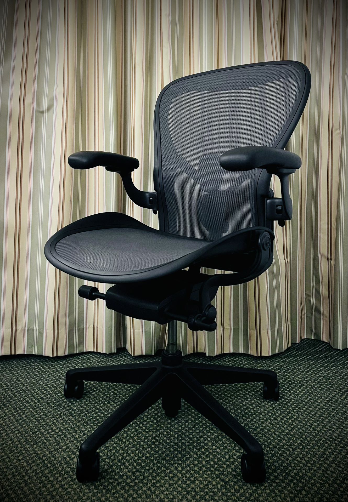 Herman Miller Remastered 2022 Special Edition | Onyx Black | Fully Loaded - Size C - LIKE NEW