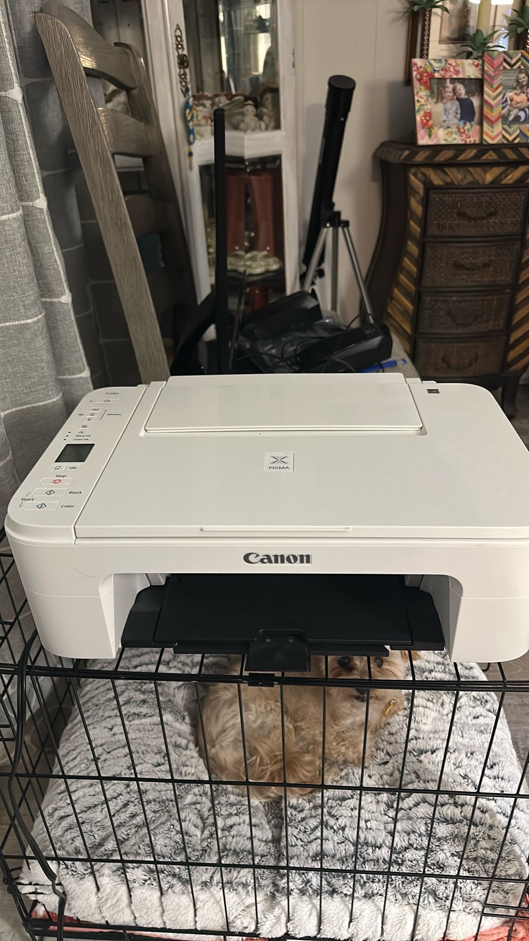 Cannon Printer