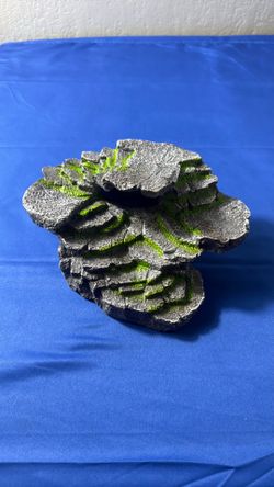 New rock decor for tanks.