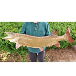 VTG REAL FISH TAXIDERMY 51" MUSKY WALL MOUNT By Lax 32.5lbs WI Lac Vieux Desert