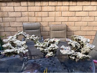 Custom Aquascape