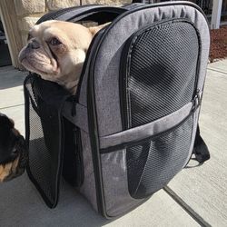 Pet Backpack 