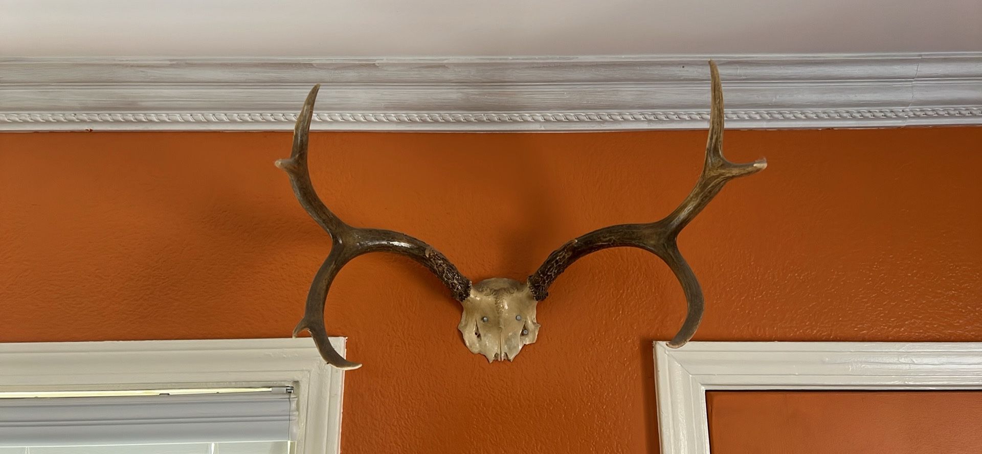 Gothic / bohemian real deer antler decoration