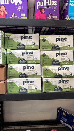 Pine Natura Aloe Vera Wet Wipes 72x12 Pack