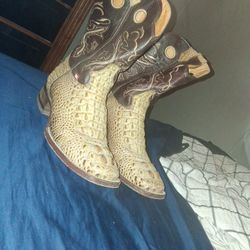 Caimen Skin Big Bull Boots Size 12