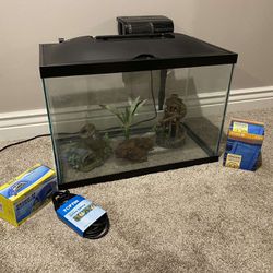2gallon Fish Tank Setup 
