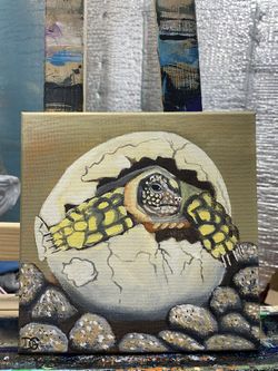 Tortoise Baby