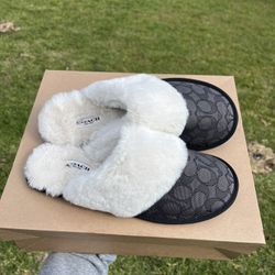 Coach Slippers