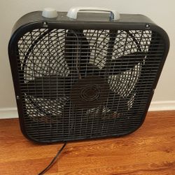 Fan