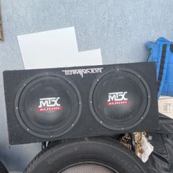 12’ Subwoofer