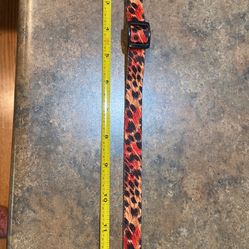 Dog Collar size medium