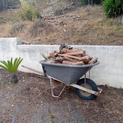 Firewood 