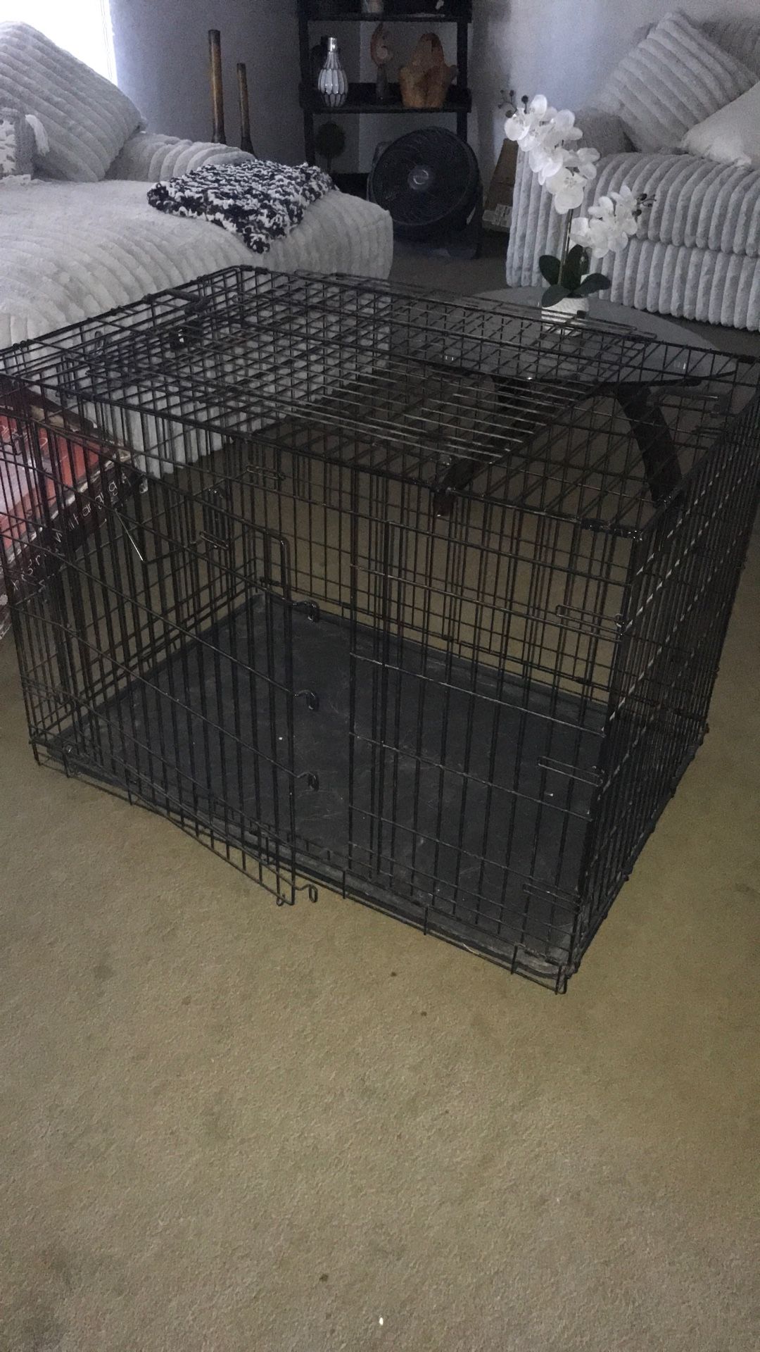 Large Dog Kennel