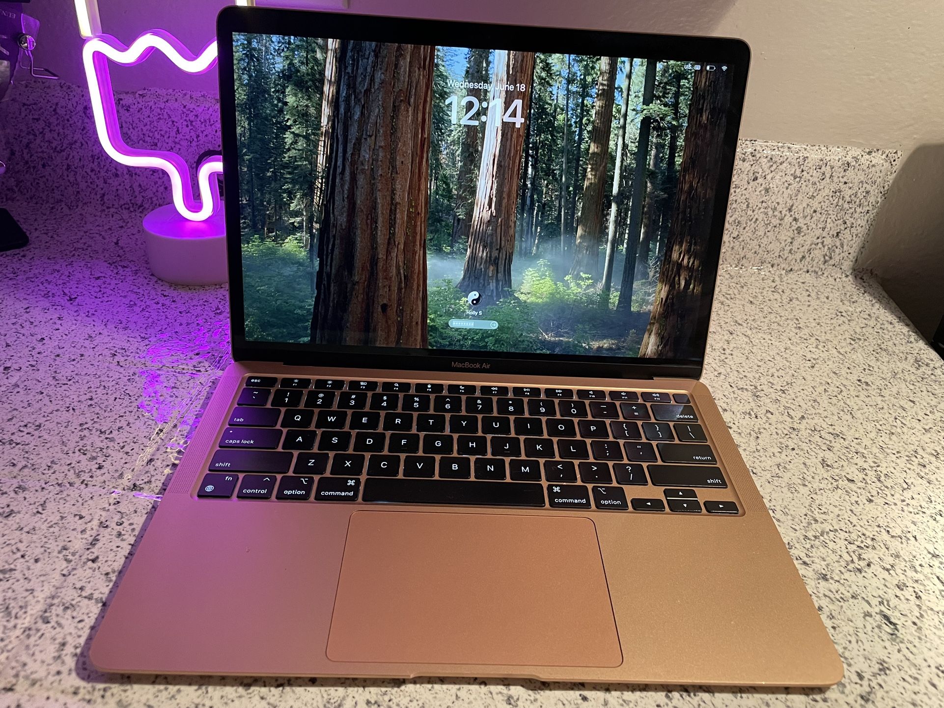 Rose Gold MacBook Air 13.3 Inch