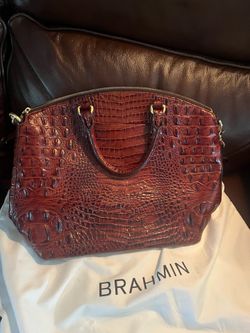 Brahmin beauty