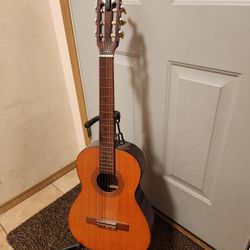 Guitar With Stand & Capo