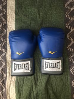 Everlast 12oz Boxing Gloves