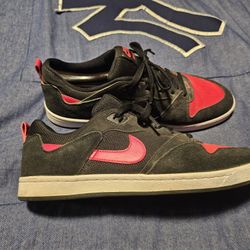 **LIGHTLY USED** NIKE SB ALLEY OOP