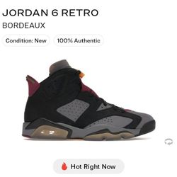 JORDAN 6 RETRO  ' BORDEAUX  ' 